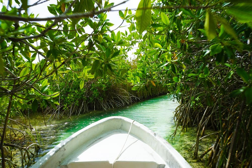 Sian Ka'an Biosphere Reserve