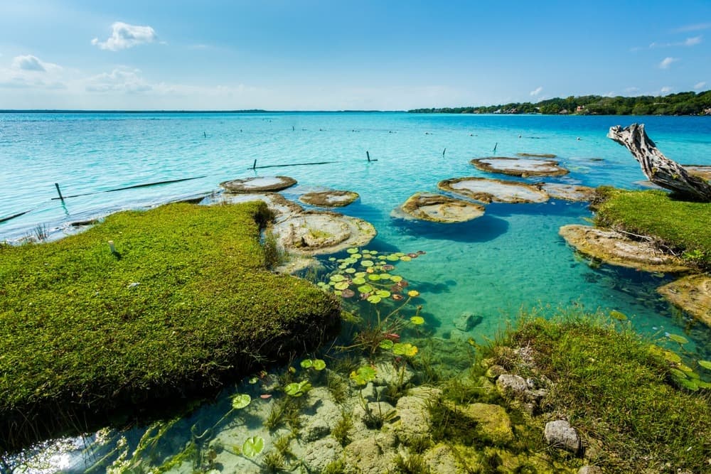 Laguna de Bacalar (Lagoon of Seven Colors)
